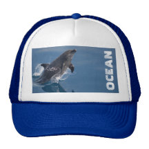 Wild dolphin hats