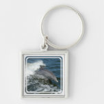 Wild Dolphin Keychain