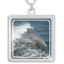 Wild Dolphin Necklace