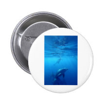 Wild Dolphins Pinback Button