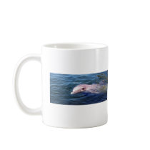 Wild Dophin Coffee Mugs