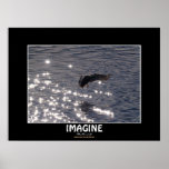 Wild Duck Motivational Nature Photo Print