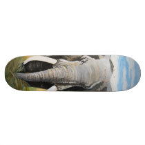 Wild Elephant Skateboard Decks