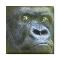 Wild Eyes - Silverback Art Magnet