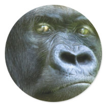 Wild Eyes - Silverback Art Sticker