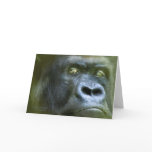 Wild Eyes - Silverback ArtCard