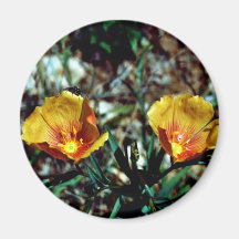 Wild flax refrigerator magnets