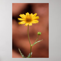 Wild Flower Print