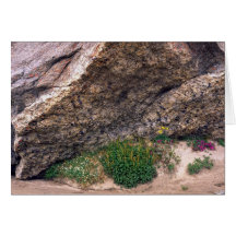 Wild flowers, Baffin Island, Canada Greeting Card