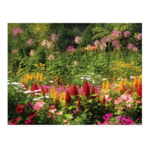 Wild Flowers Post Cards