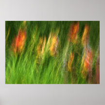 Wild flowers print