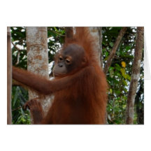 Wild  For You Valentine Mohawk Hairdo Greeting Card