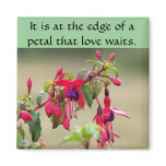 Wild Fuchsias magnets