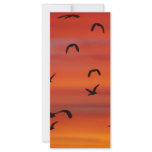 Wild geese in flight at sunset rack cards