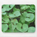 Wild Ginger mousepads