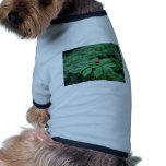 Wild Ginseng (Panax Quinquefolius) flowers pet clothing