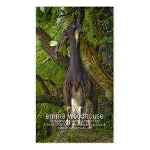 Wild Goat Personal Business Card
