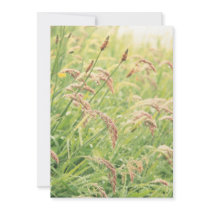 Wild gramineous custom invitation