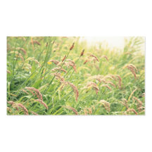 Wild gramineous - Pocket calendar Business Card Template