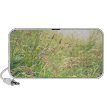 Wild gramineous speaker
