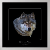 Wild Grey Wolf Art Poster