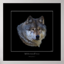 Wild Grey Wolf Art Poster