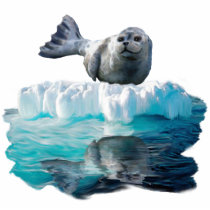 WILD HARBOR SEAL sculpted Wildlife Art Gift
