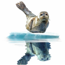 WILD HARBOR SEAL sculpted Wildlife Art Gift