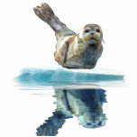 WILD HARBOR SEAL sculpted Wildlife Art Gift photo sculptures