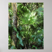 Wild Hawaiian Palm Print