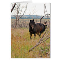 wild horse in Mesa Verde Greeting Cards