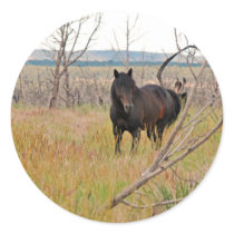 wild horse in Mesa Verde Round Stickers