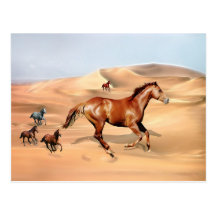 Wild horses and sand dunes post cards