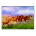 WILD HORSES cards