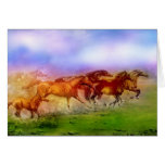 WILD HORSES cards
