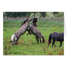 wild horses card
