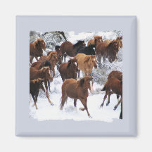Wild Horses Driven Fridge Magnet
