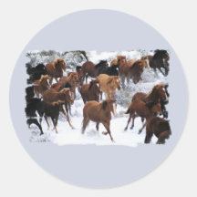 Wild Horses Driven Round Sticker