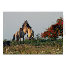 wild horses greeting cards