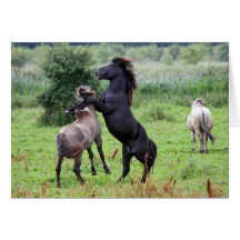 wild horses greeting cards