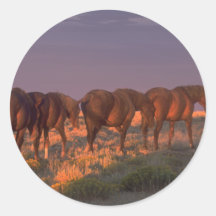 Wild Horses Heading Into the Night Round Sticker