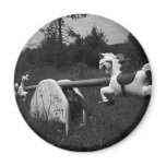 Wild Horses Magnet