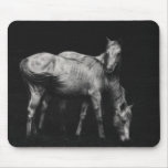 wild horses mousepads