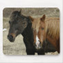 Wild Horses on Unalaska Island Mousepads