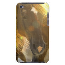 Wild Horses Photo iTouch Case iPod Case-Mate Cases