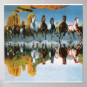 Wild horses Poster posters