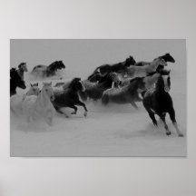 Wild Horses Poster