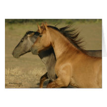 Wild Horses Returning to Freedom Card