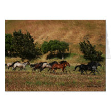 Wild Horses Running Greeting Card