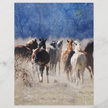 Wild horses running personalized flyer